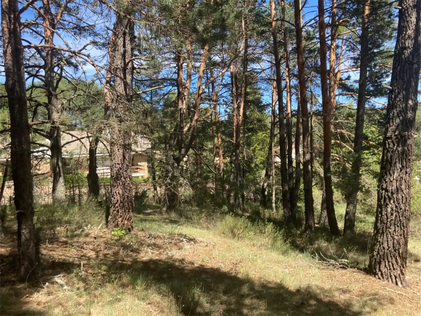 Land for sale in Calle Los Prados, Navaleno Land for sale in Navaleno