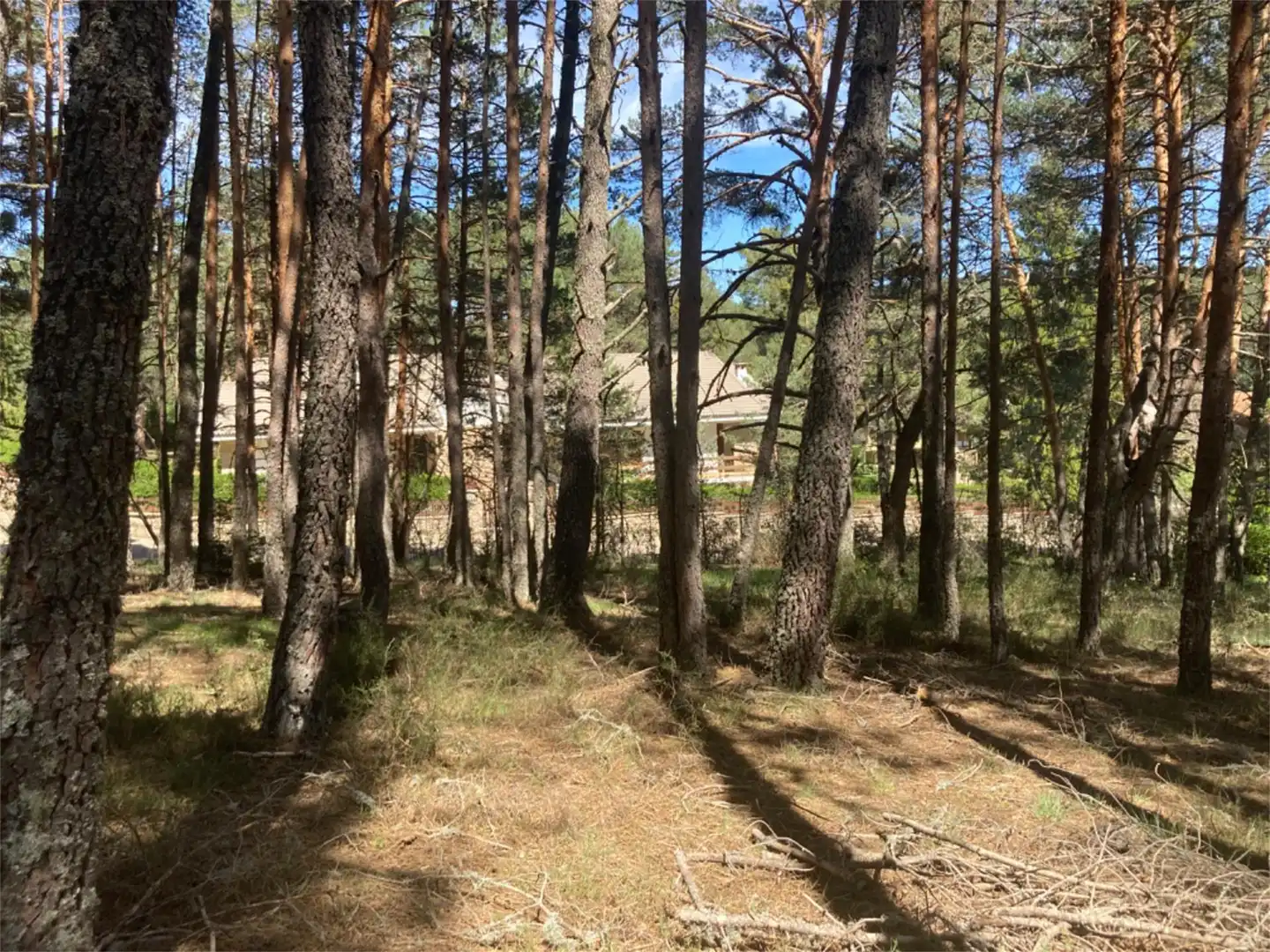 Land for sale in Calle Los Prados, Navaleno Land for sale in Navaleno