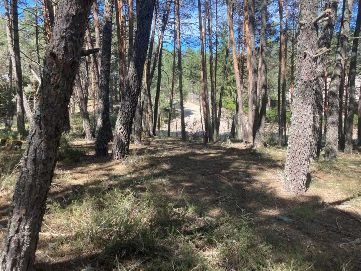 Land for sale in Calle Los Prados, Navaleno Land for sale in Navaleno