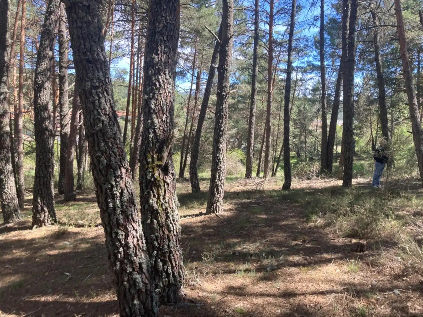 Land for sale in Calle Los Prados, Navaleno Land for sale in Navaleno