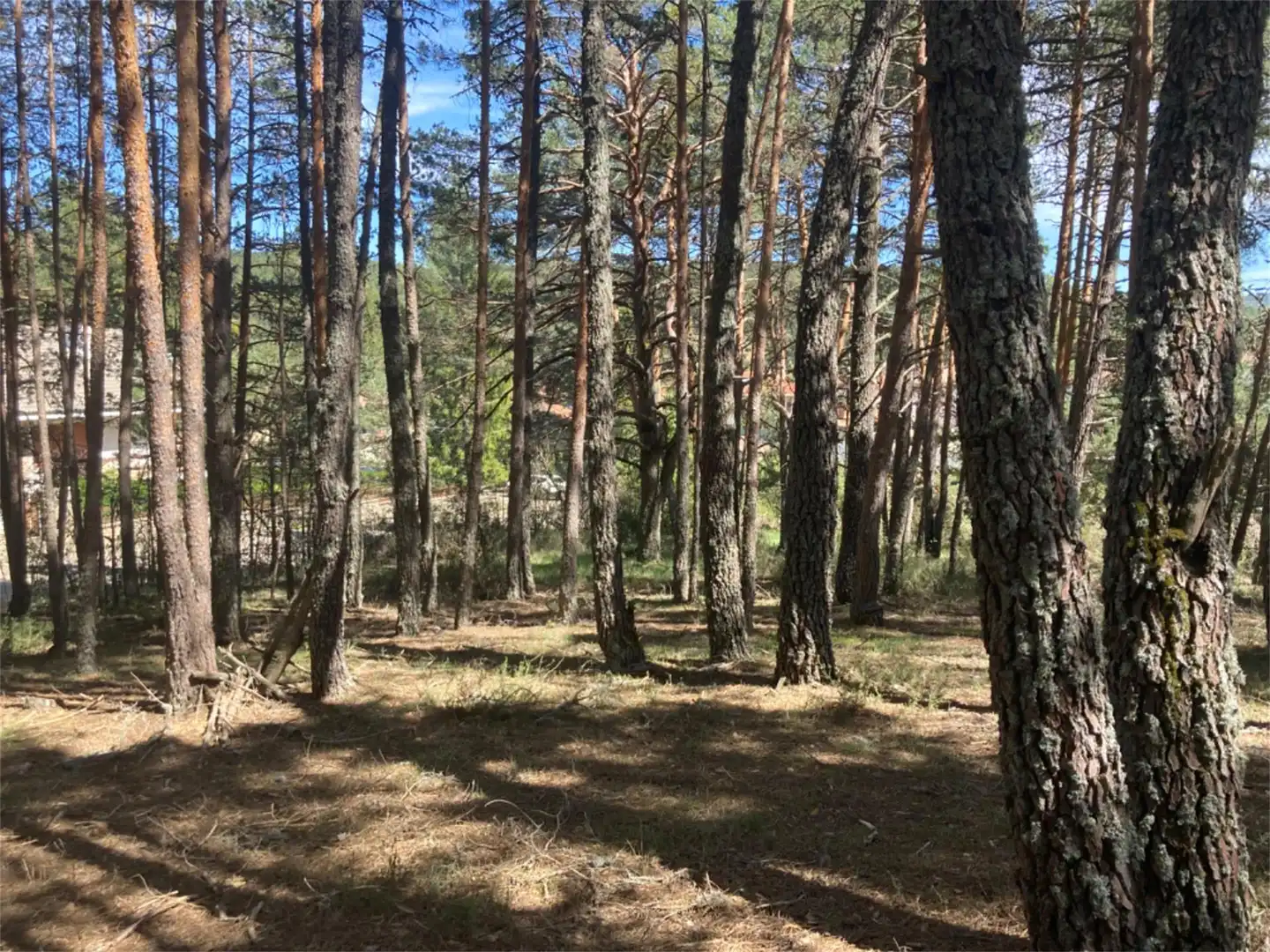 Land for sale in Calle Los Prados, Navaleno Land for sale in Navaleno