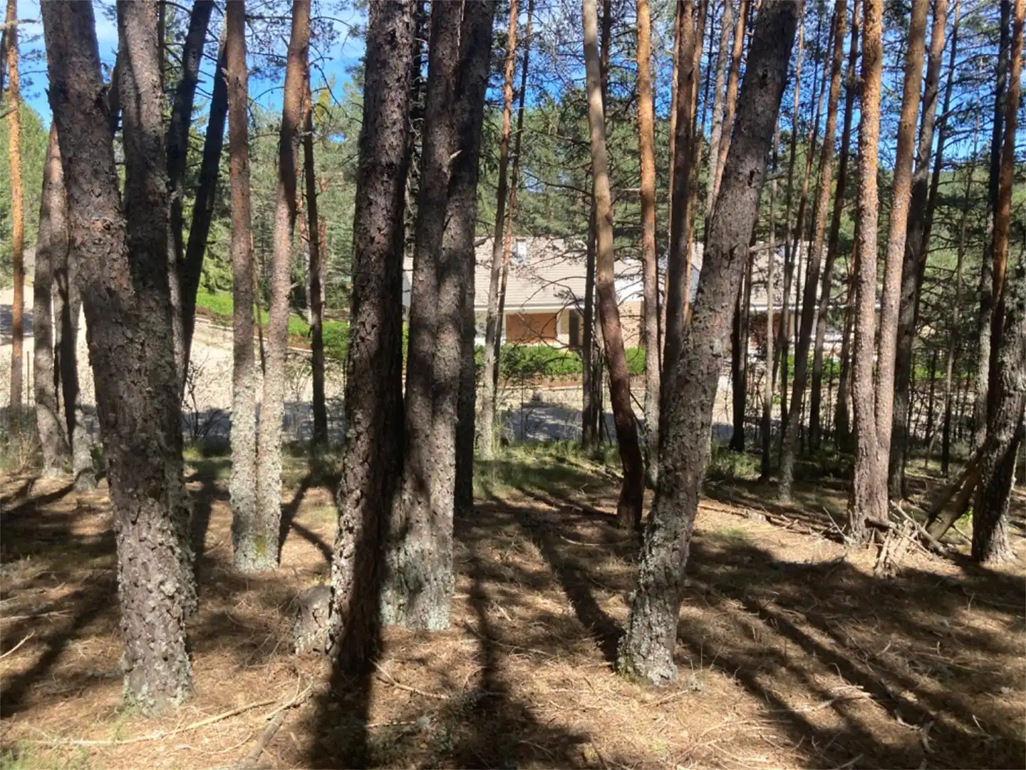 Land for sale in Calle Los Prados, Navaleno Land for sale in Navaleno