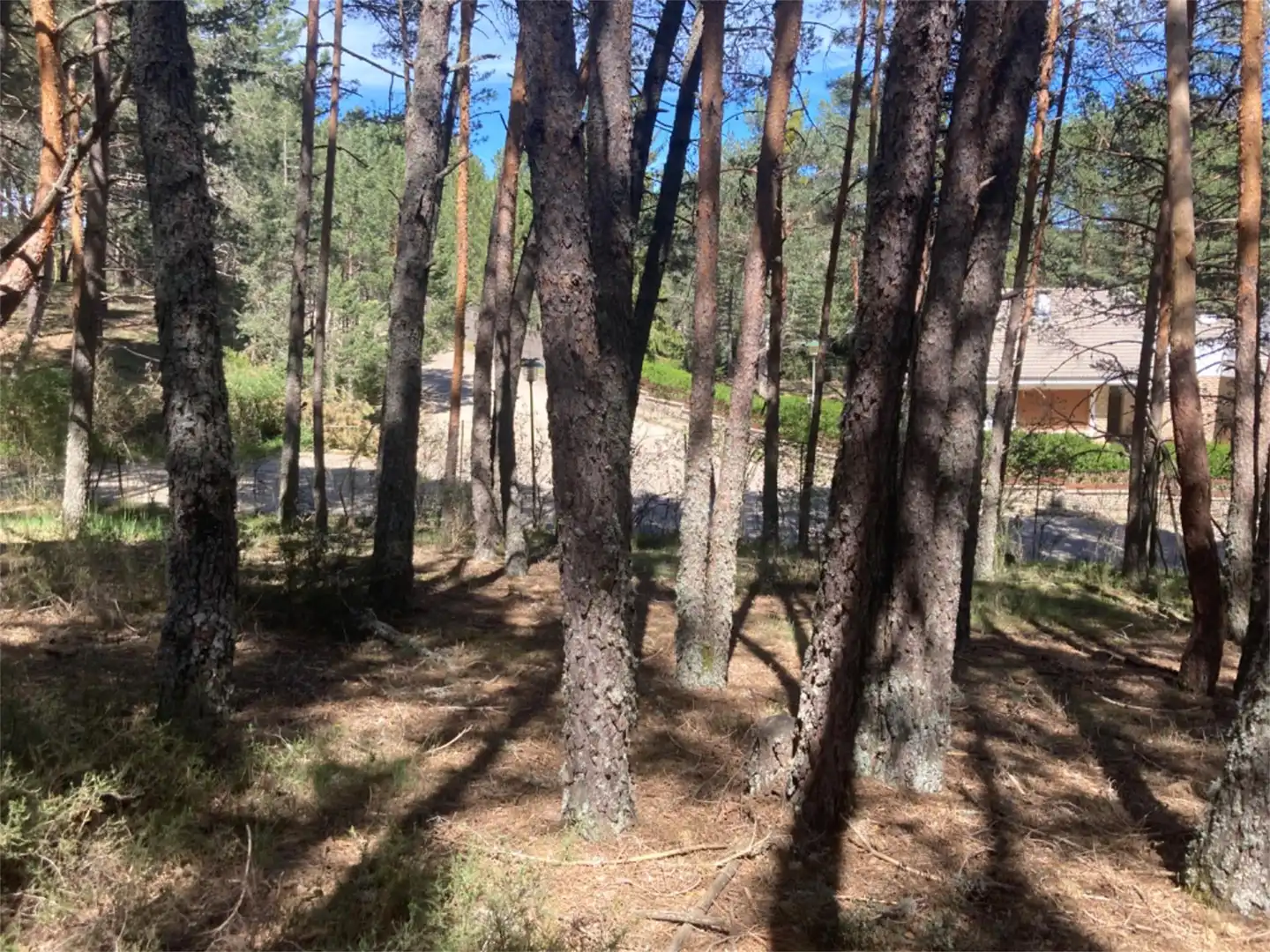 Land for sale in Calle Los Prados, Navaleno Land for sale in Navaleno