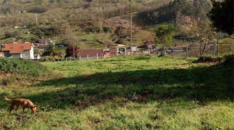 Foto 4 de Urbanitzable en venda a Alameda Pelabraga, Lada, Asturias