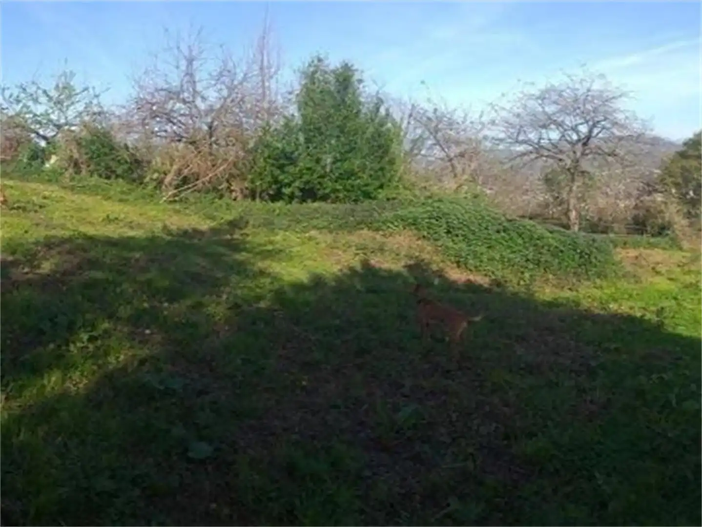 Bebaubares Gelände zum Verkauf in Alameda Pelabraga, Lada Bebaubares Gelände zum Verkauf in Langreo