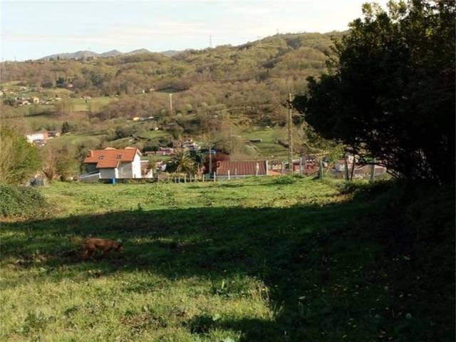 Terreno urbanizable en Venta en Alameda Pelabraga en Lada