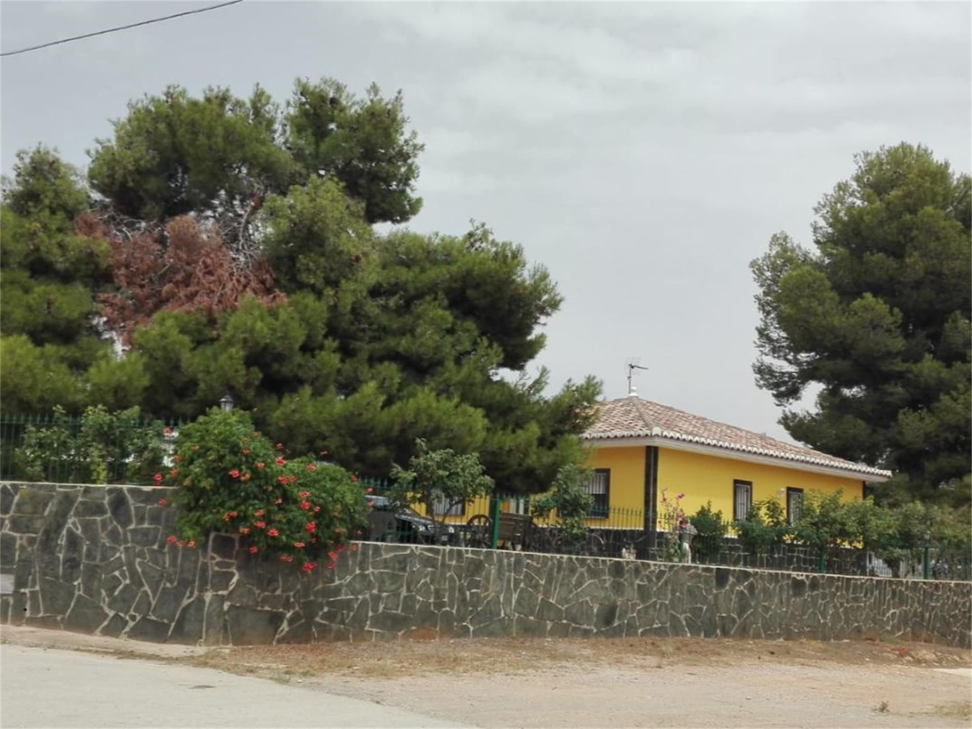 Garden of House or chalet for sale in Venta del Moro  with Private garden, Terrace and Swimming Pool