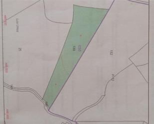 Non-constructible Land for sale in Entrambasaguas