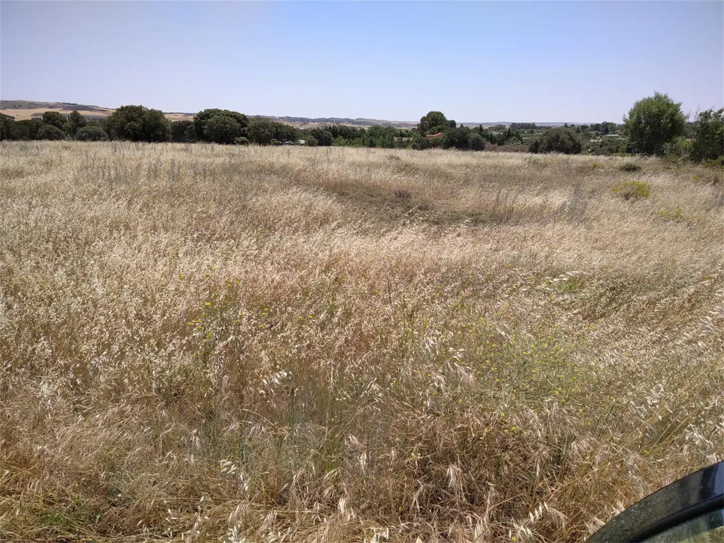 Vista exterior de Terreno en venta en Villar de Cañas