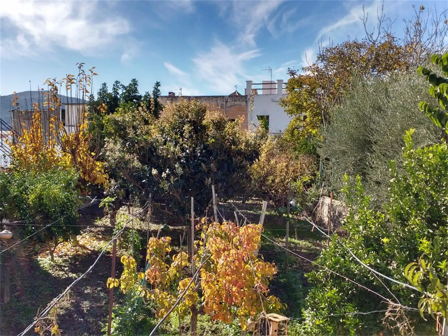 Planta baixa en venda a Calle Rambla de Gracia, Dalías Jardí de Planta baixa en venda en Dalías amb Jardí privat, Terrassa i Traster
