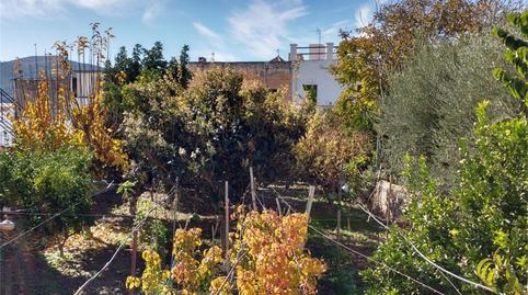 Planta baixa en venda a Calle Rambla de Gracia, Dalías, Almería - imatge 2 Foto 2 de Planta baixa en venda a Calle Rambla de Gracia, Dalías, Almería