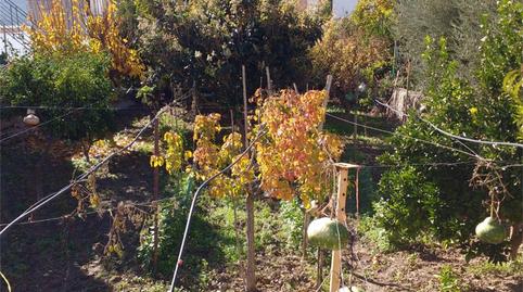 Planta baixa en venda a Calle Rambla de Gracia, Dalías, Almería - imatge 3 Foto 3 de Planta baixa en venda a Calle Rambla de Gracia, Dalías, Almería