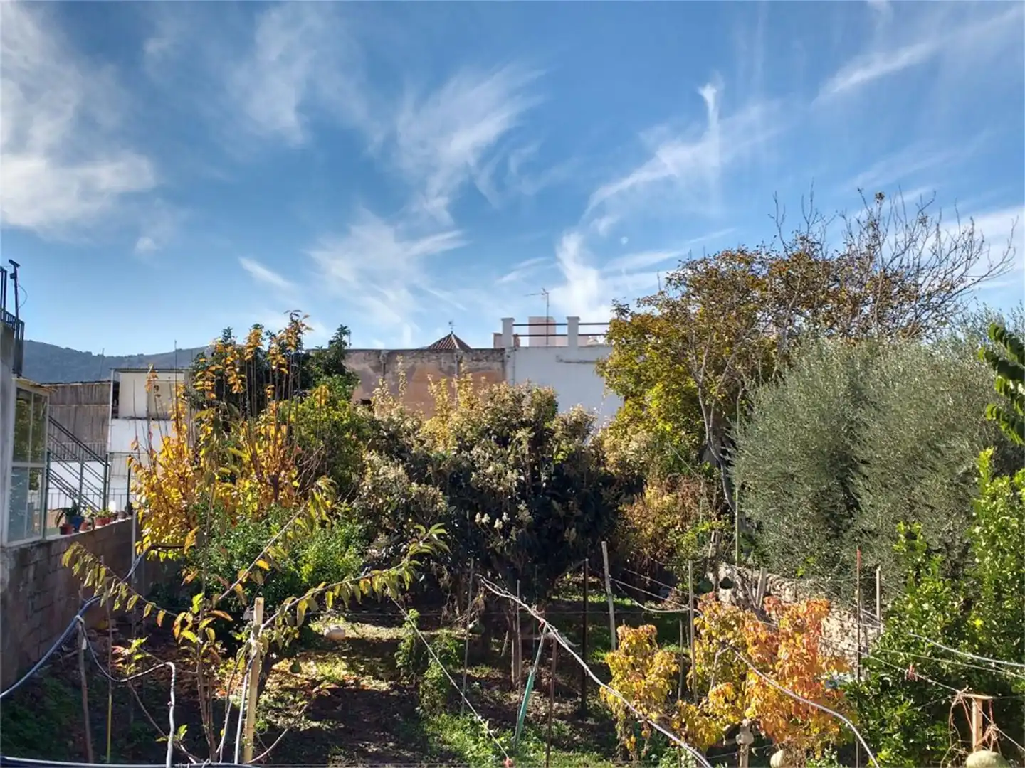 Planta baixa en venda a Calle Rambla de Gracia, Dalías Jardí de Planta baixa en venda en Dalías amb Jardí privat, Terrassa i Traster