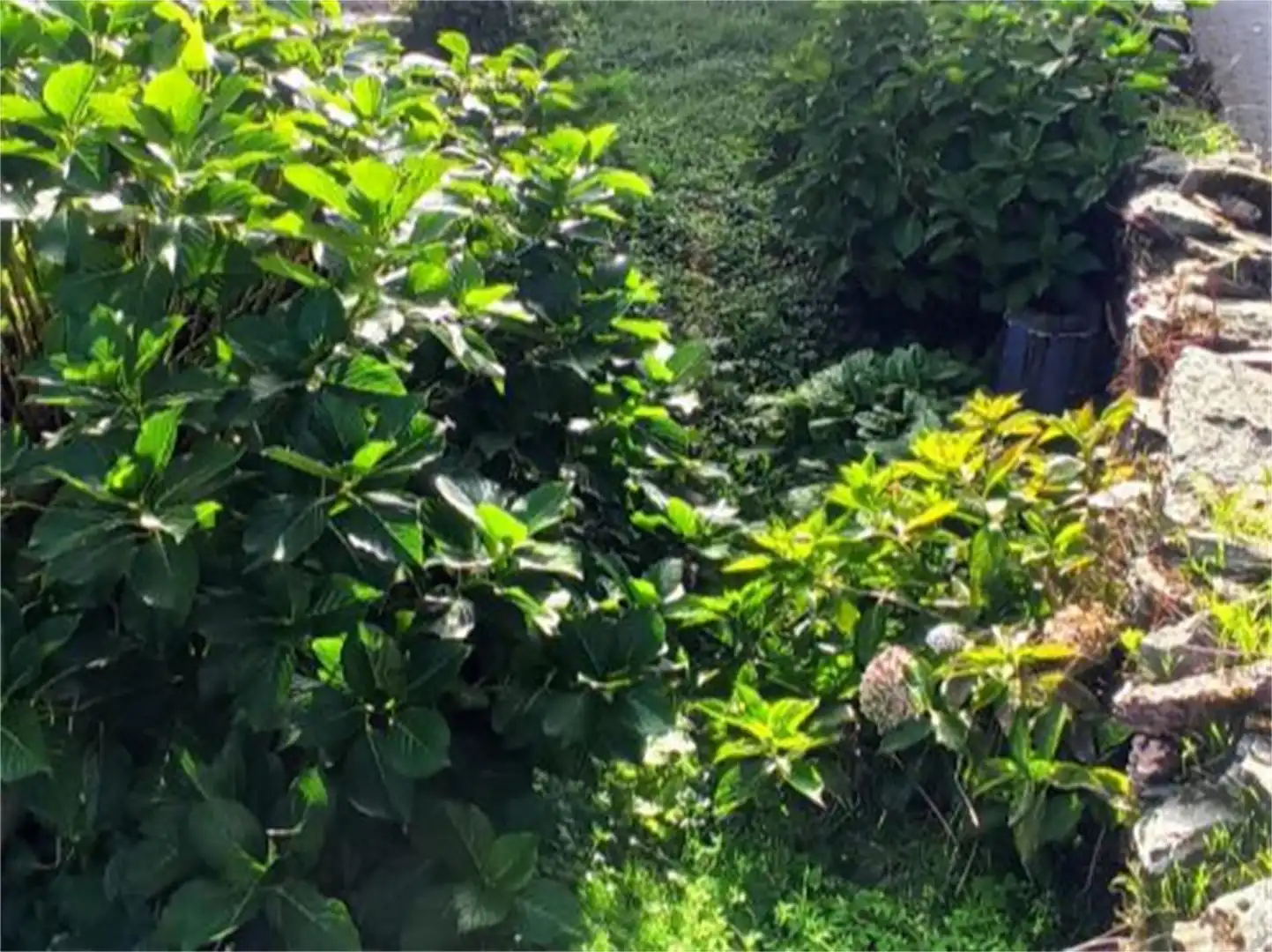 Einfamilien-Reihenhaus zur Miete in Camino de San Roque, 7, Tineo Einfamilien-Reihenhaus zur Miete in Tineo mit Heizung, Privatgarten und Abstellraum