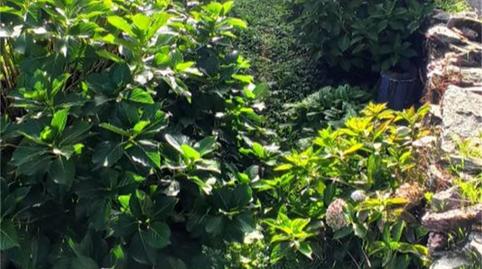 Foto 4 de Casa adosada de lloguer a Camino de San Roque, 7, Tineo, Asturias