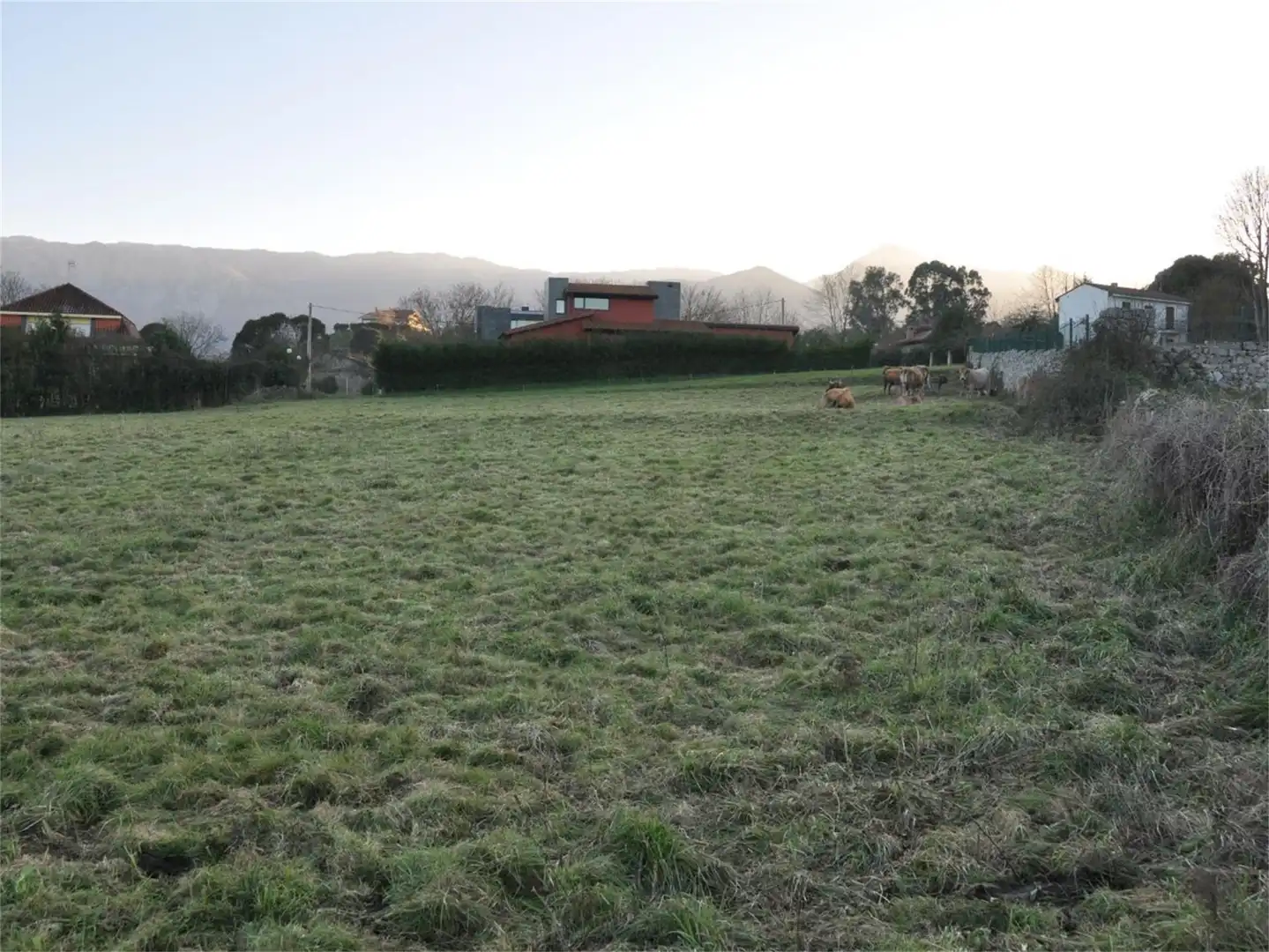 Constructible Land for sale in Barrio del Roble, Celorio - Poó - Parres Constructible Land for sale in Llanes