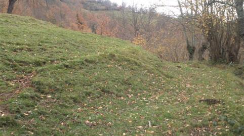 Foto 5 de Casa o chalet en venta en Felguerina, Caso, Asturias