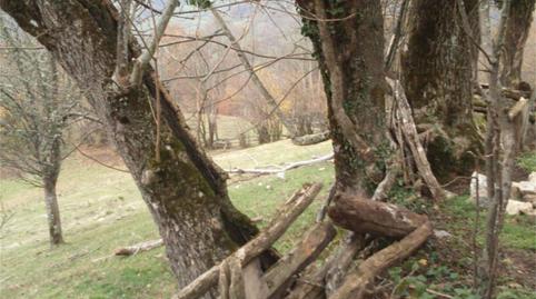 Foto 2 de Casa o chalet en venta en Felguerina, Caso, Asturias