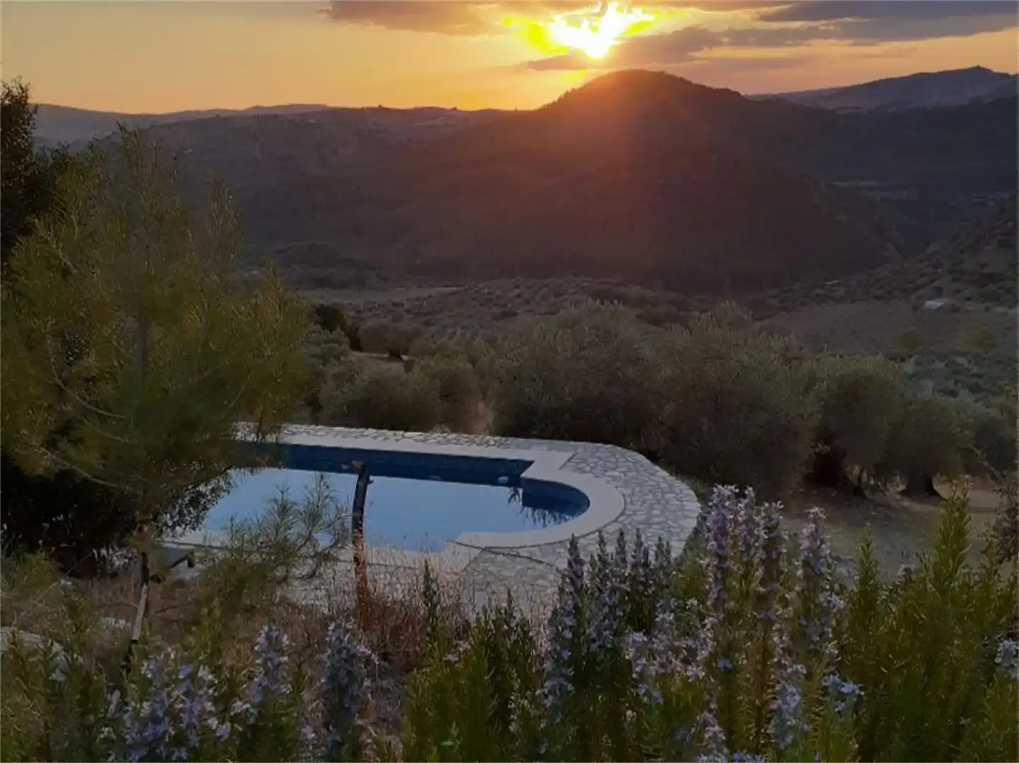 Terreno en venta en A-8126, Algodonales Piscina de Terreno en venta en Algodonales