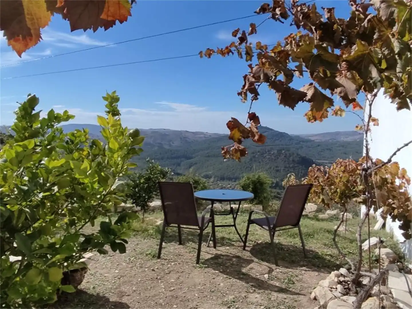 Terreno en venta en A-8126, Algodonales Jardín de Terreno en venta en Algodonales