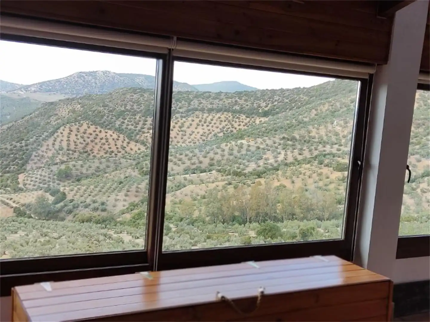 Terreno en venta en A-8126, Algodonales Terreno en venta en Algodonales