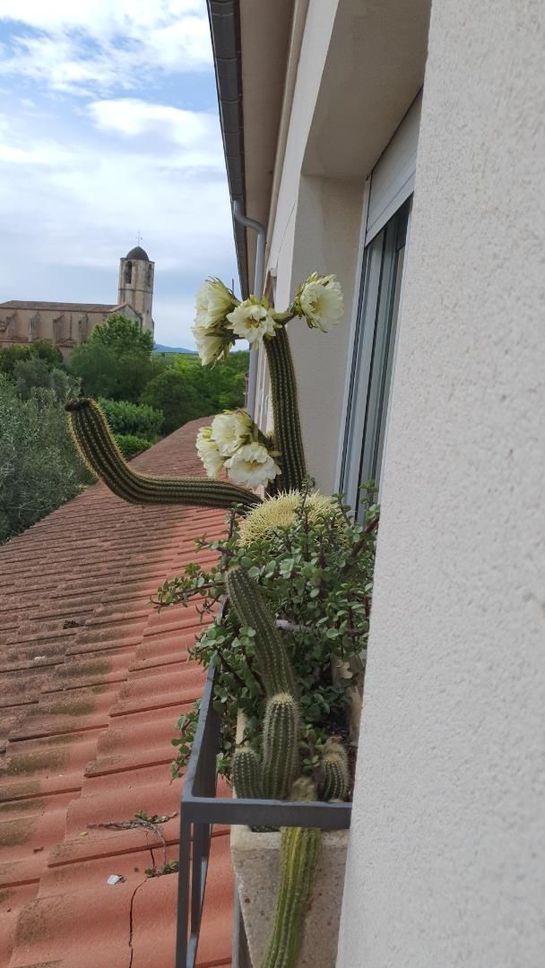 Garden of Flat for sale in Sant Llorenç d'Hortons  with Terrace