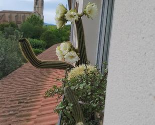 Jardí de Pis en venda en Sant Llorenç d'Hortons amb Terrassa