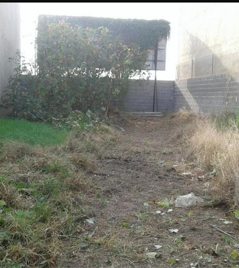 Photo 2 of Land for sale in Avenida de la Constitución, 358, Els Orriols, Valencia