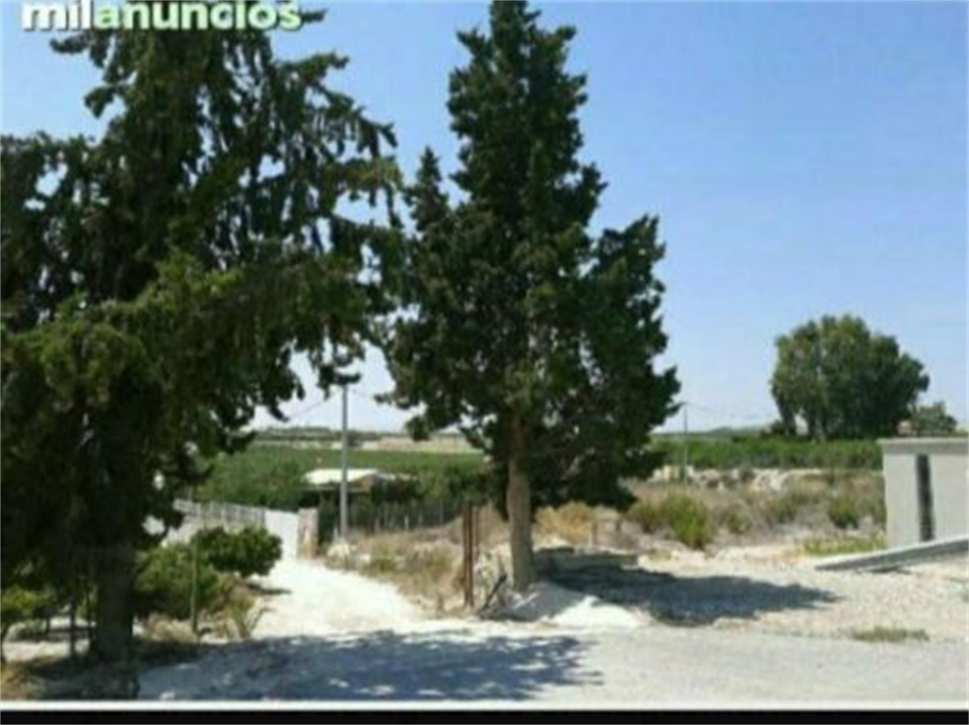 Land for sale in Ojós