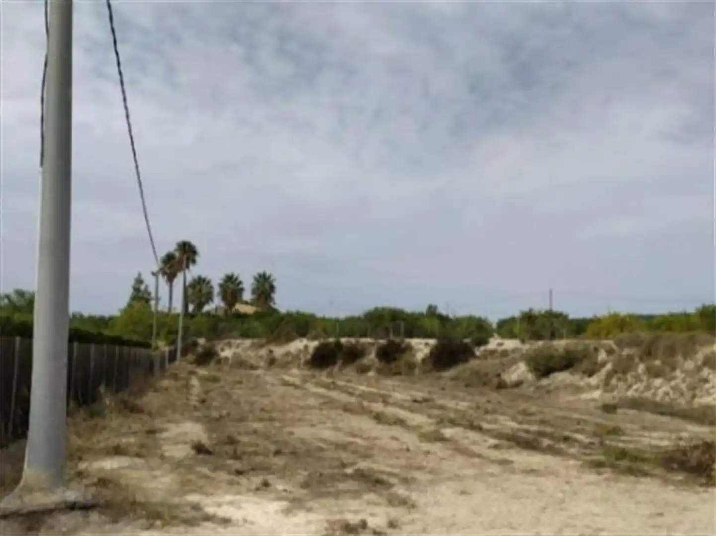 Land for sale in B-12, Ojós Land for sale in Ojós