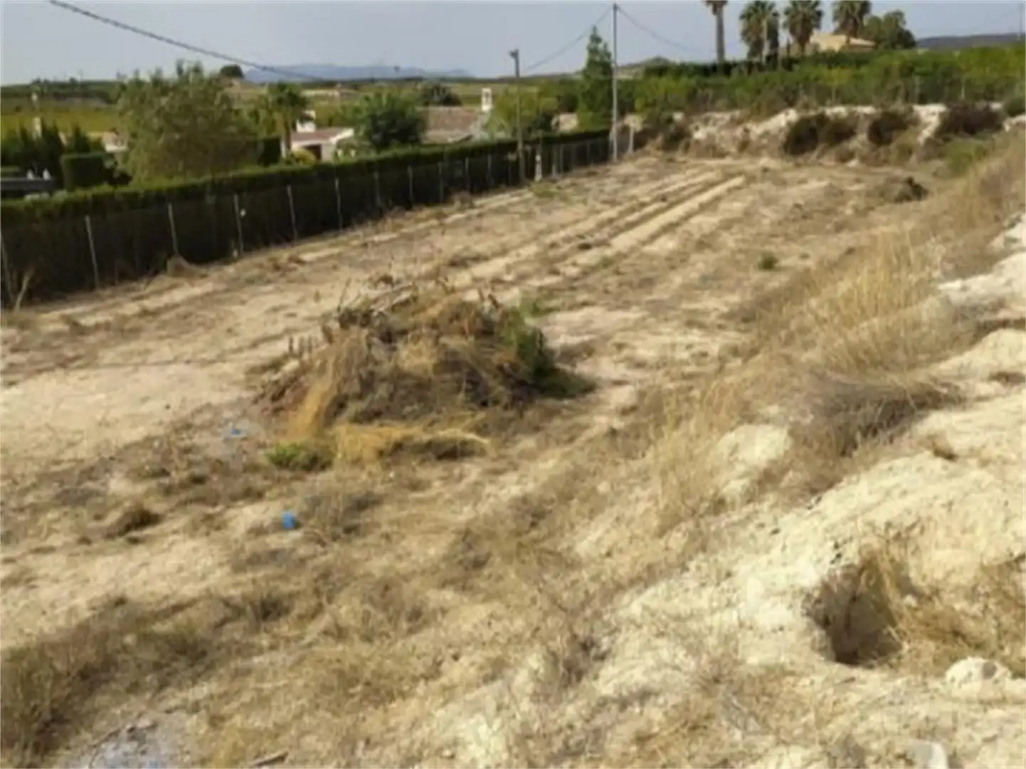 Land for sale in B-12, Ojós Land for sale in Ojós