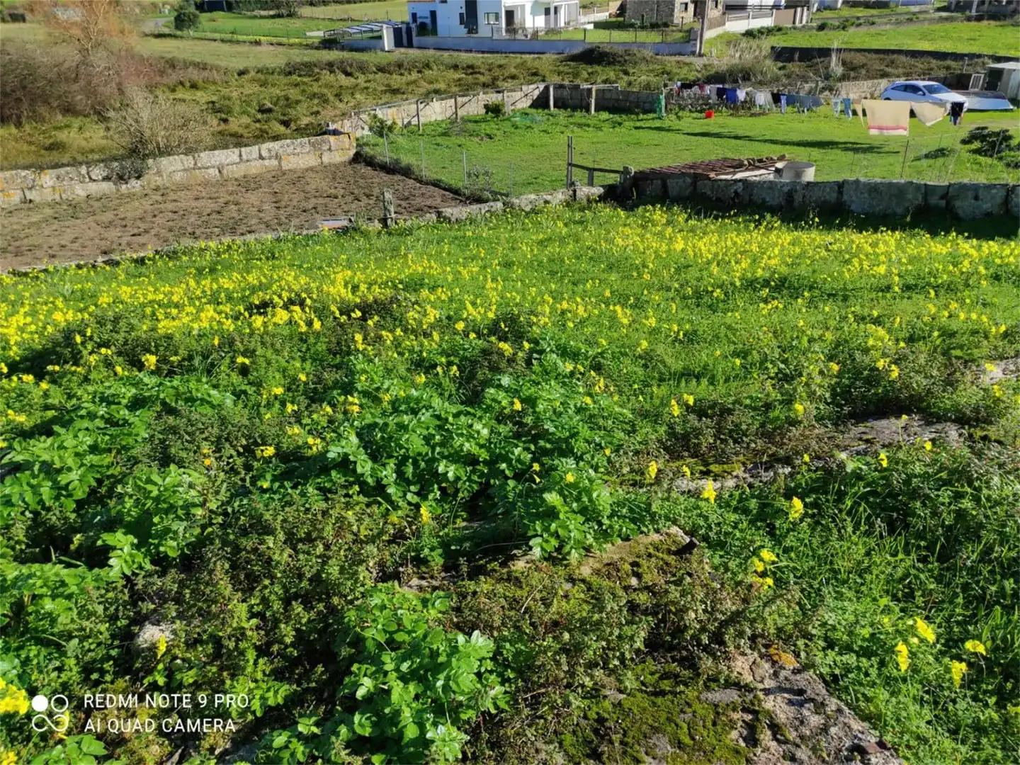 Land for sale in Castiñeiras Land for sale in Ribeira