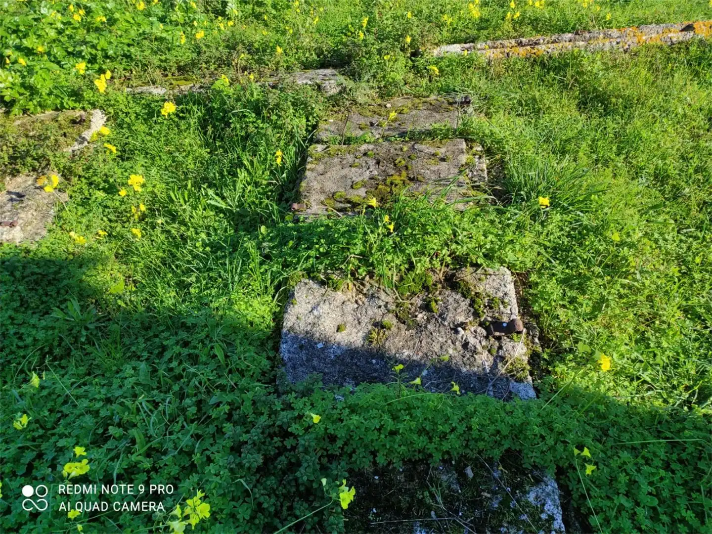 Land for sale in Castiñeiras Exterior view of Land for sale in Ribeira