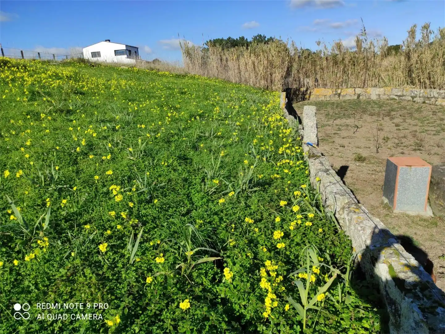 Land for sale in Castiñeiras Land for sale in Ribeira