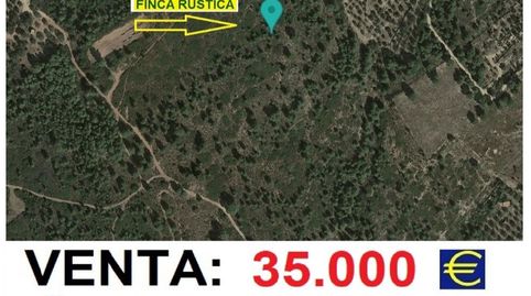 Foto 4 de Terreno en venta en Ap-7, El Casalot, Mont-roig del Camp