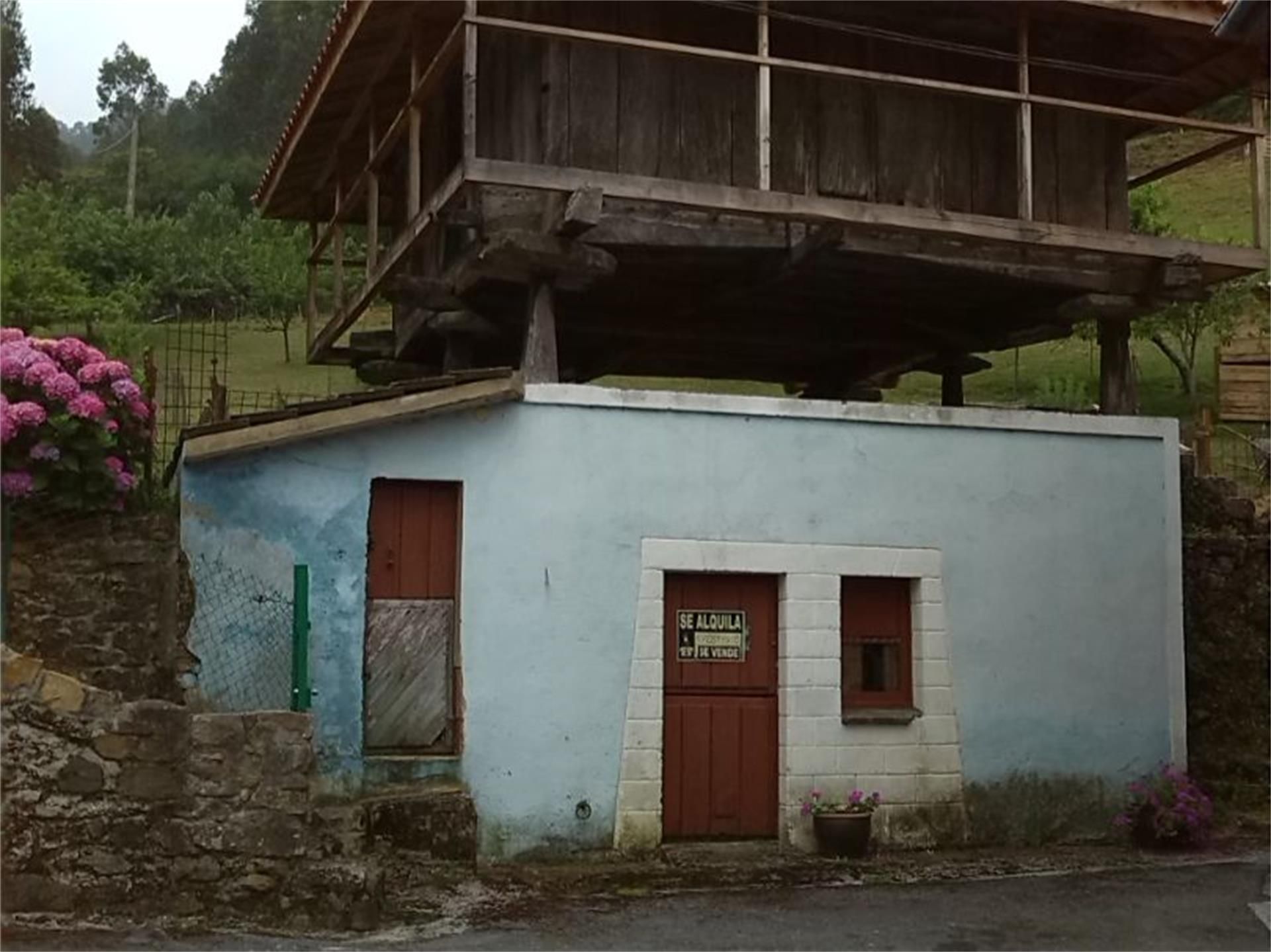 Vista exterior de Finca rústica en venda en Pravia