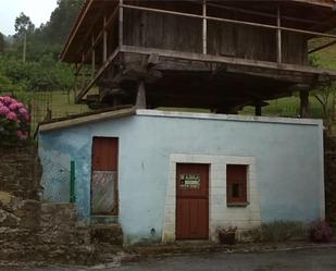 Vista exterior de Finca rústica en venda en Pravia