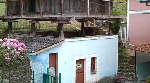 Foto 2 de Finca rústica en venta en Alameda Peñaullán, 7, Pravia, Asturias