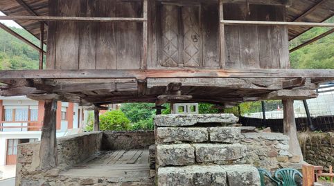 Foto 4 de Finca rústica en venta en Alameda Peñaullán, 7, Pravia, Asturias