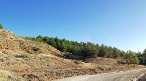 Non-constructible Land for sale in Carretera Huete, La Peraleja , Cuenca - image 2 Photo 2 of Non-constructible Land for sale in Carretera Huete, La Peraleja , Cuenca