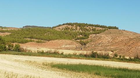 Non-constructible Land for sale in Carretera Huete, La Peraleja , Cuenca - image 3 Photo 3 of Non-constructible Land for sale in Carretera Huete, La Peraleja , Cuenca