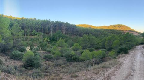 Non-constructible Land for sale in Carretera Huete, La Peraleja , Cuenca - image 4 Photo 4 of Non-constructible Land for sale in Carretera Huete, La Peraleja , Cuenca