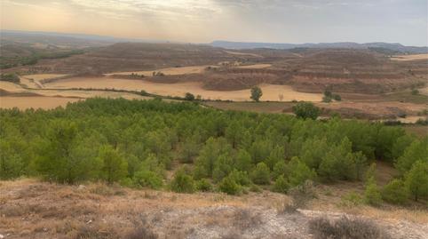 Non-constructible Land for sale in Carretera Huete, La Peraleja , Cuenca - image 5 Photo 5 of Non-constructible Land for sale in Carretera Huete, La Peraleja , Cuenca