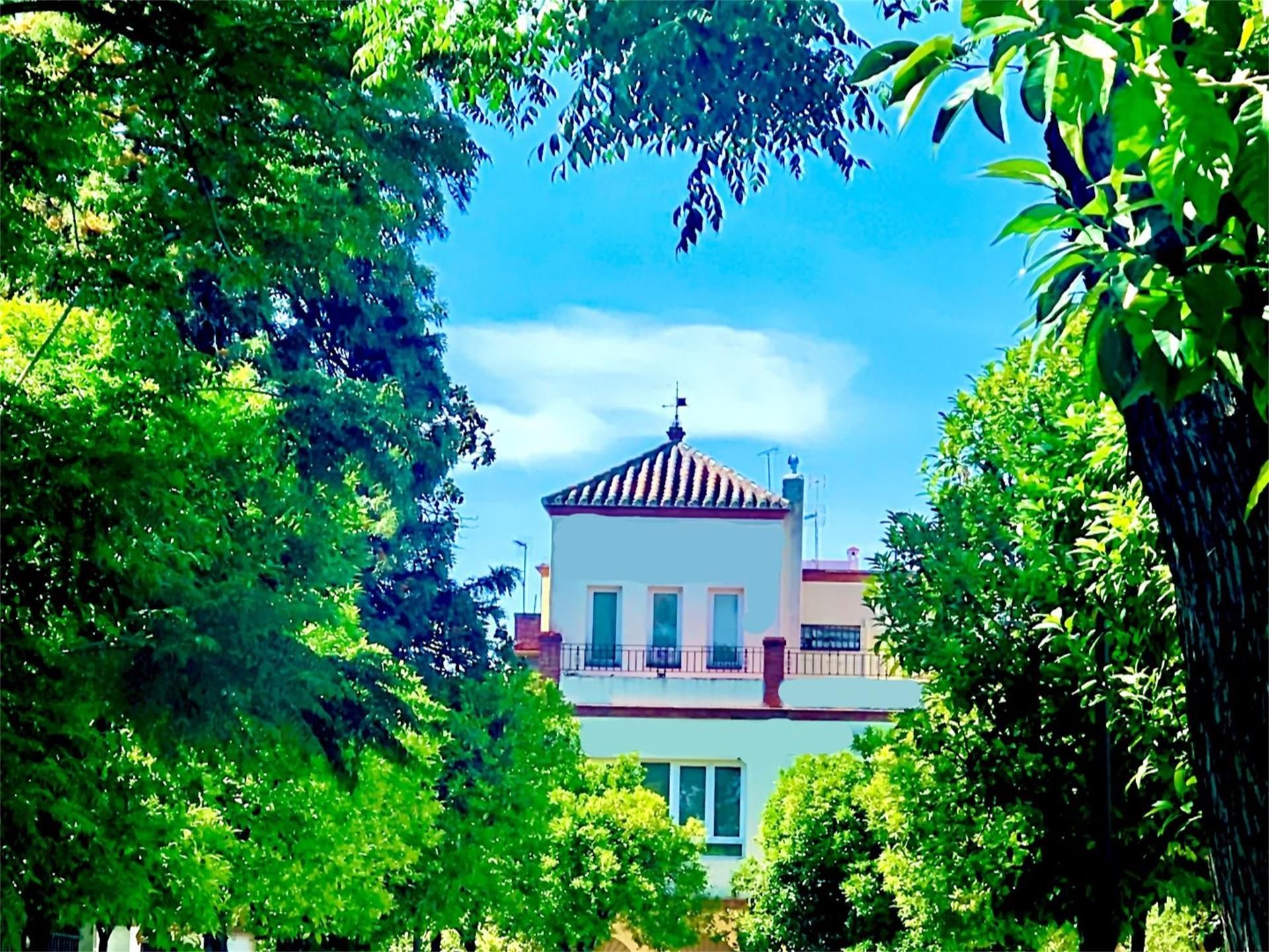 Vista exterior de Casa o xalet en venda en  Sevilla Capital amb Jardí privat, Terrassa i Traster