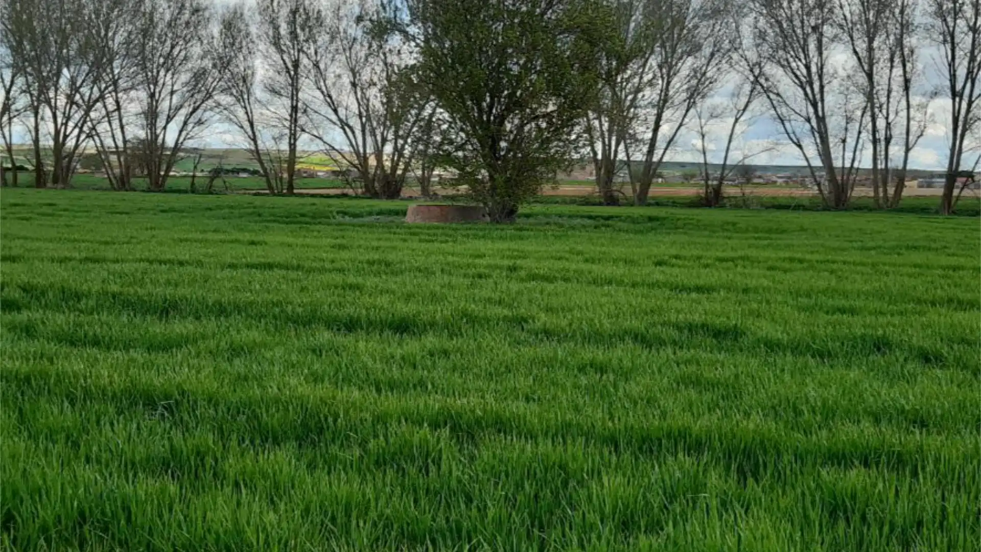 Terreno en venta en Calle Santa María, Cantalpino