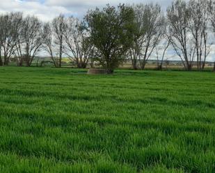 Terreny en venda en Cantalpino