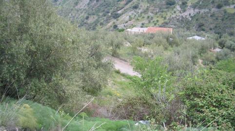 Photo 2 of Flat for sale in A-4130, Almegíjar, Granada