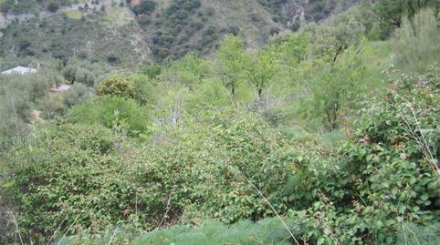 Photo 3 of Flat for sale in A-4130, Almegíjar, Granada