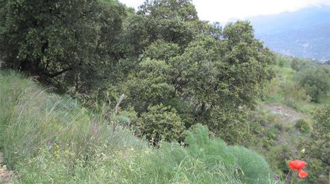 Photo 4 of Flat for sale in A-4130, Almegíjar, Granada