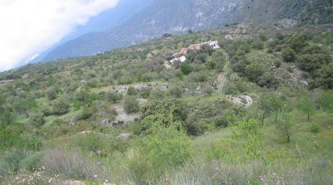 Photo 5 of Flat for sale in A-4130, Almegíjar, Granada